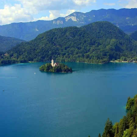 Iglica - First Floor